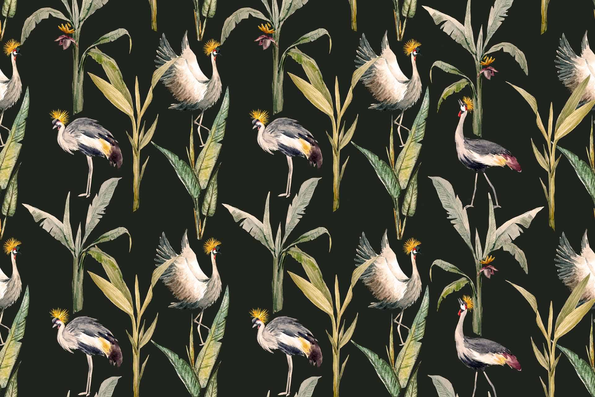 Storks Crown