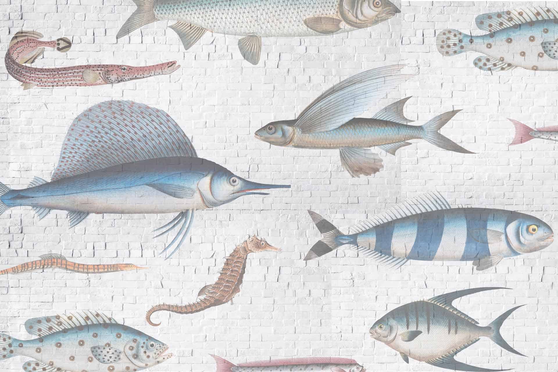 Swimming Upstream