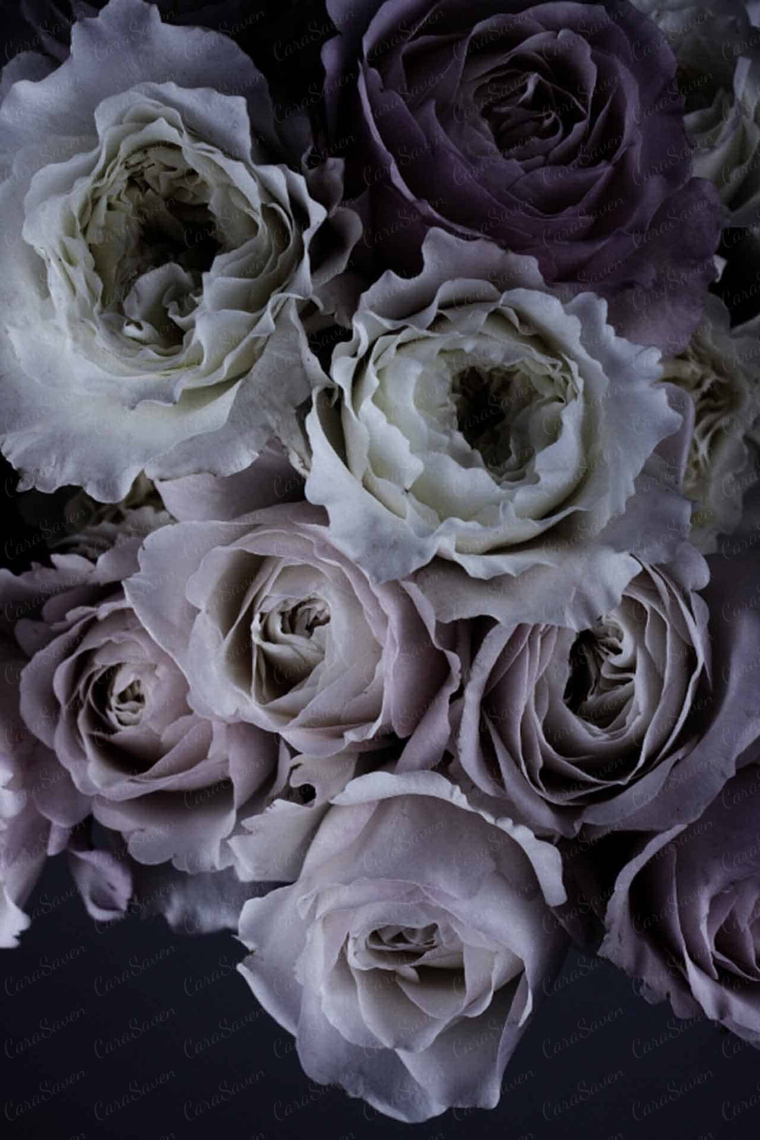 The Language of Flowers