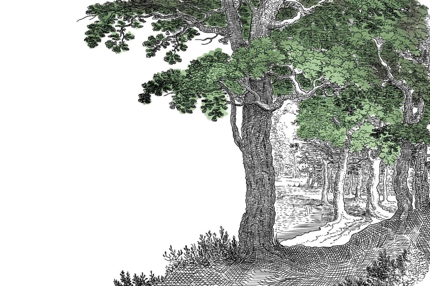 Tree of Life