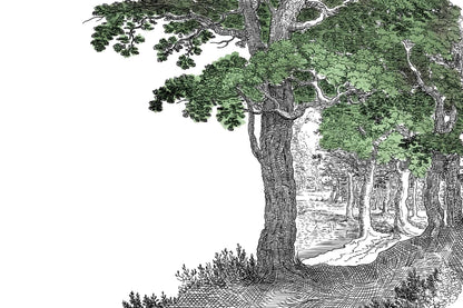 Tree of Life