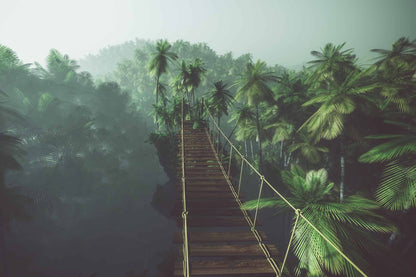 Treetop Walkway