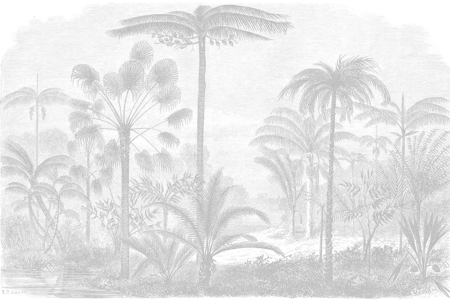 Tropical Storm