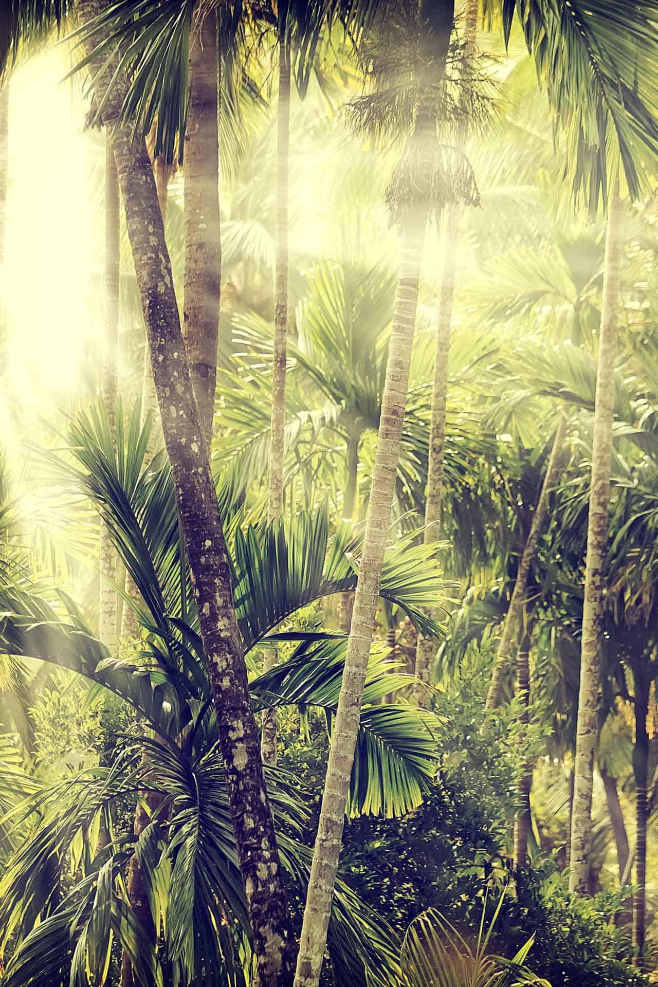 Tulum