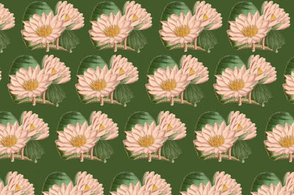 Wading Lily