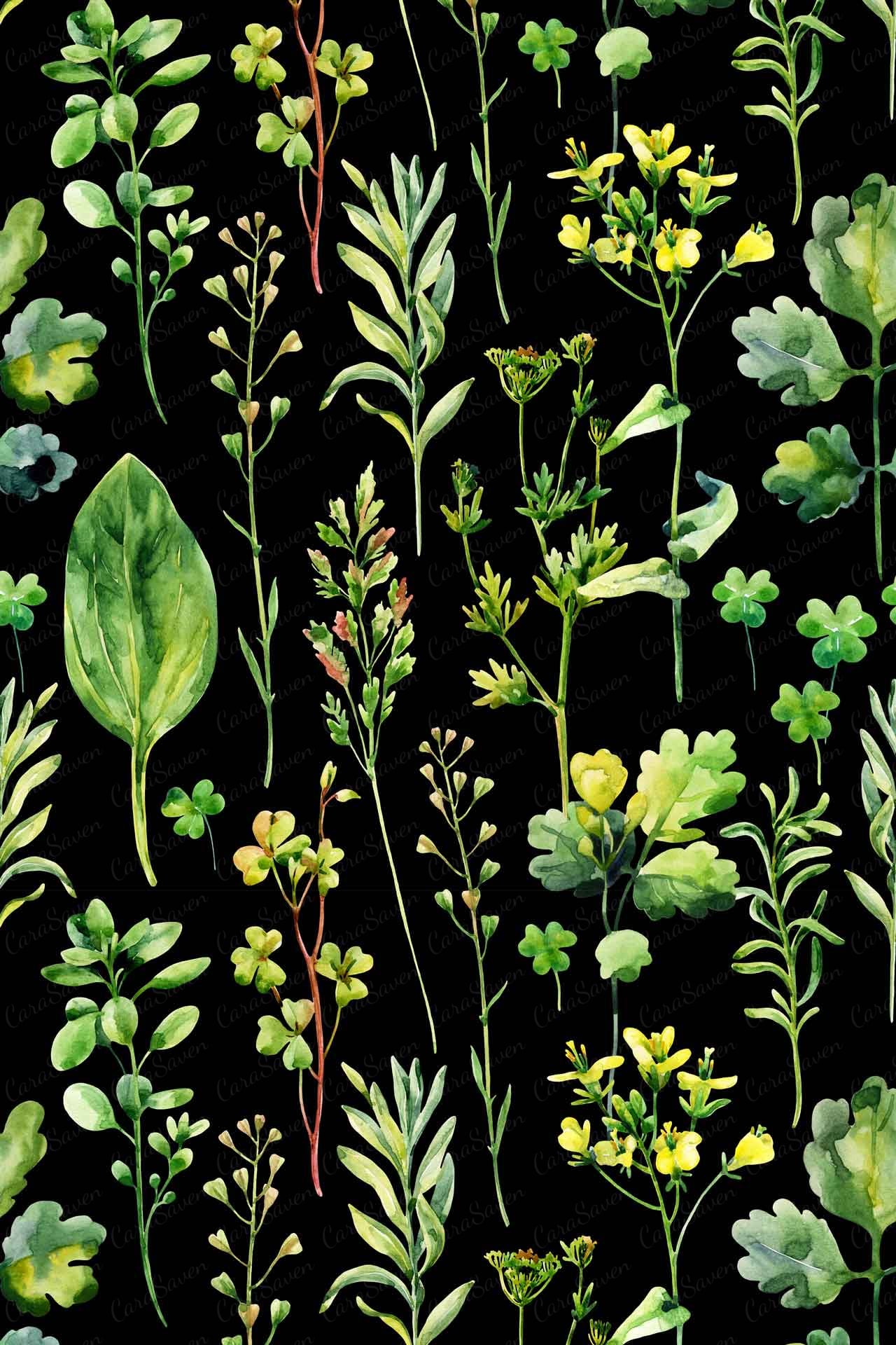 Herb Garden