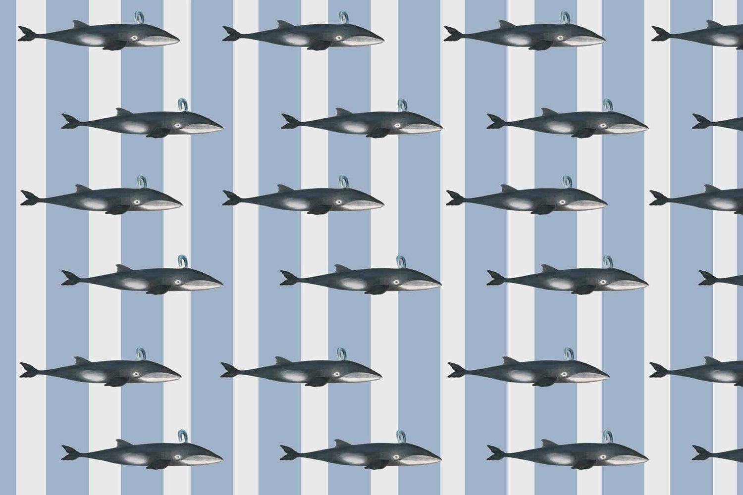 Whale Song