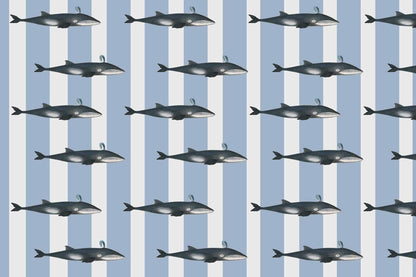Whale Song