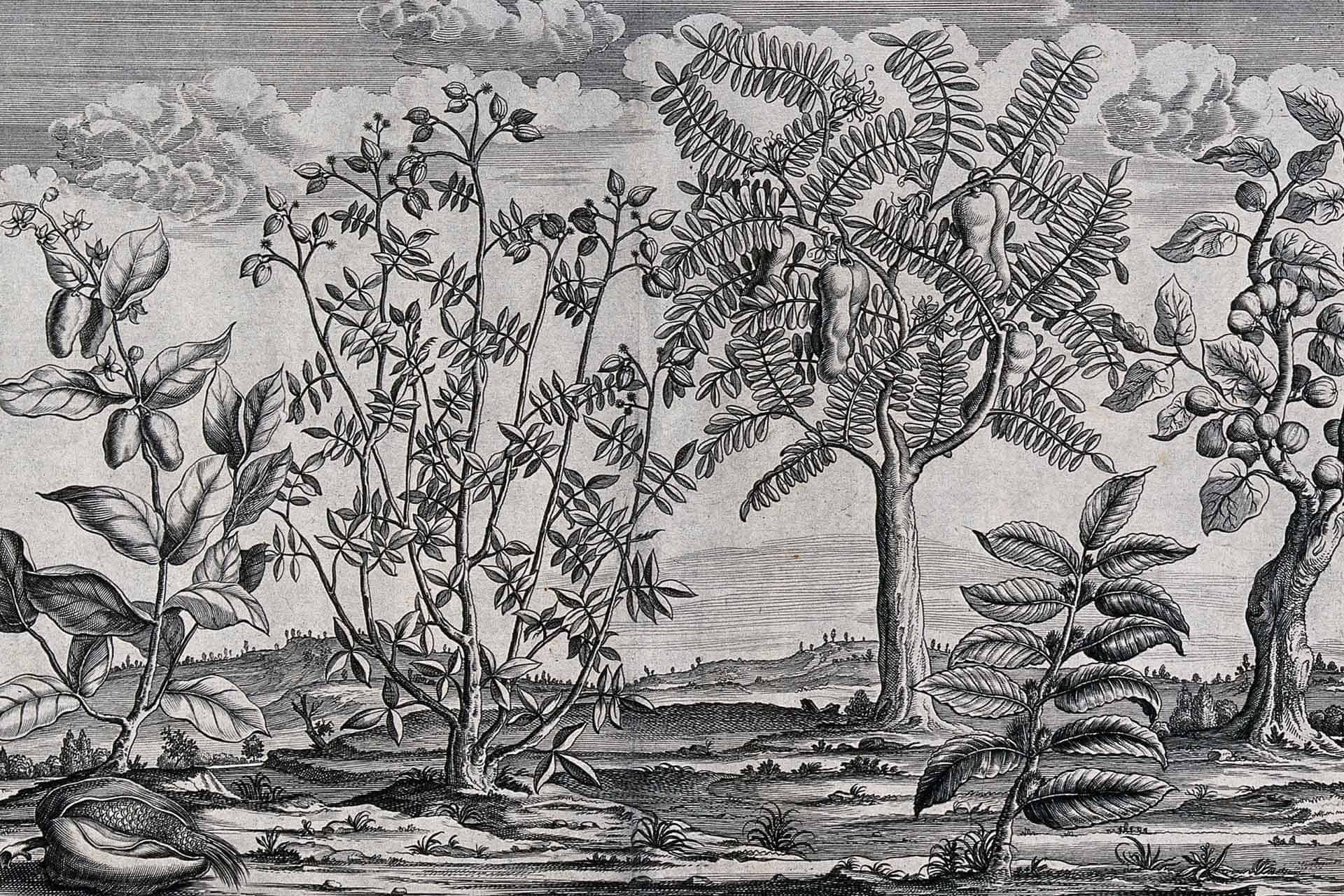 Where the Wind Blows
