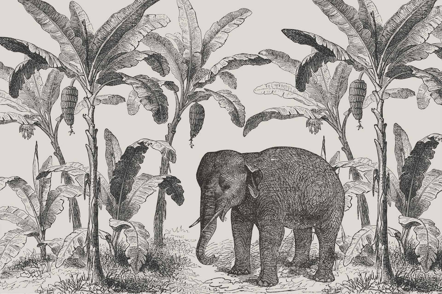 Elephants and Flowers