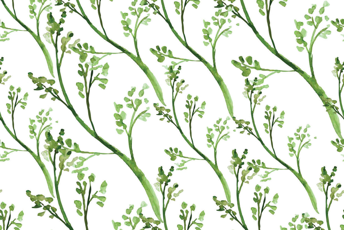 Summer Thyme