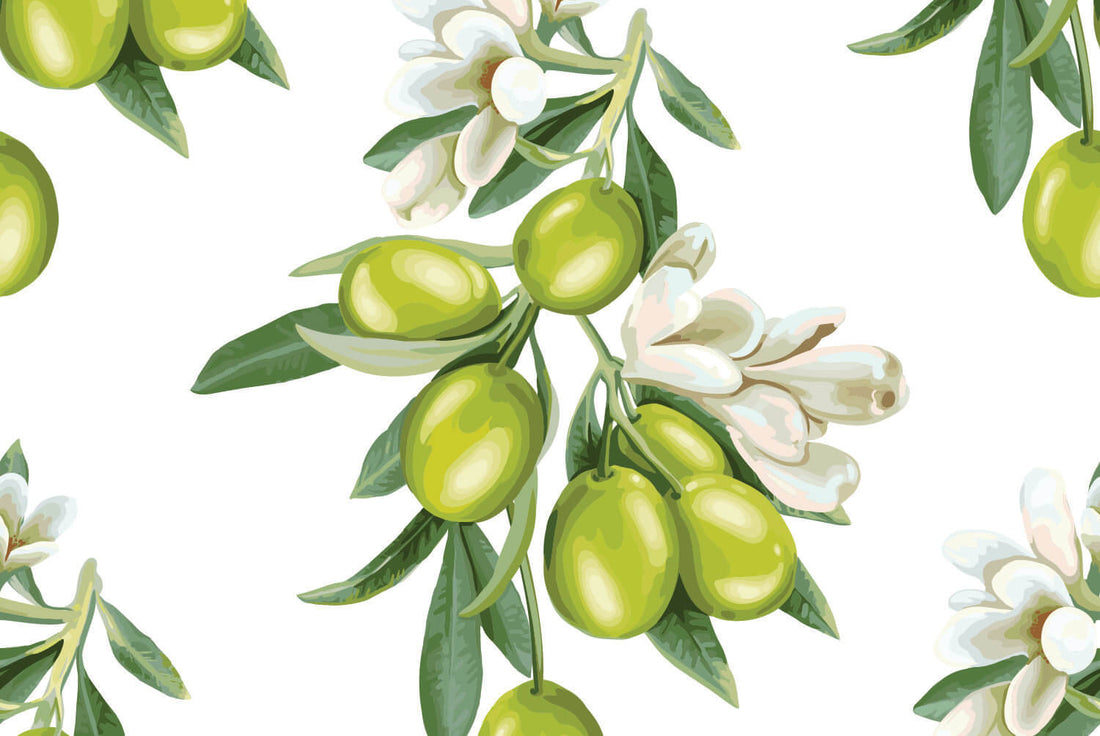 Oliva