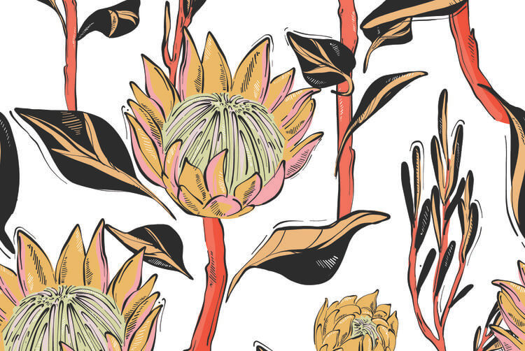 Protea