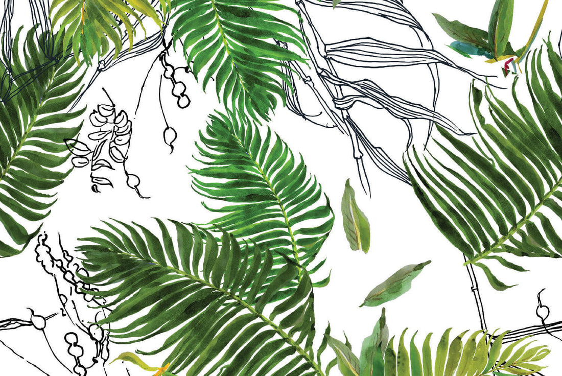 Daintree