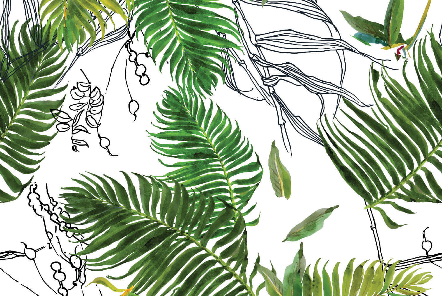 Daintree