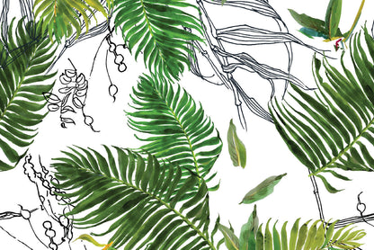 Daintree