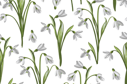 Snowdrops