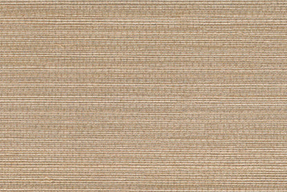 Sumatra