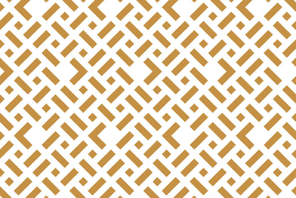 Codex