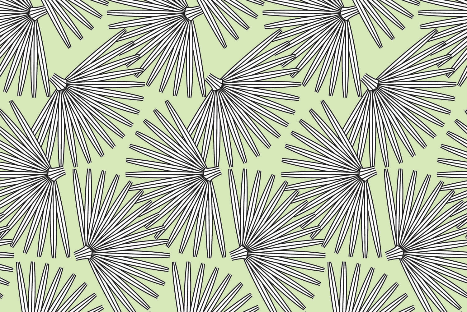 Spinifex