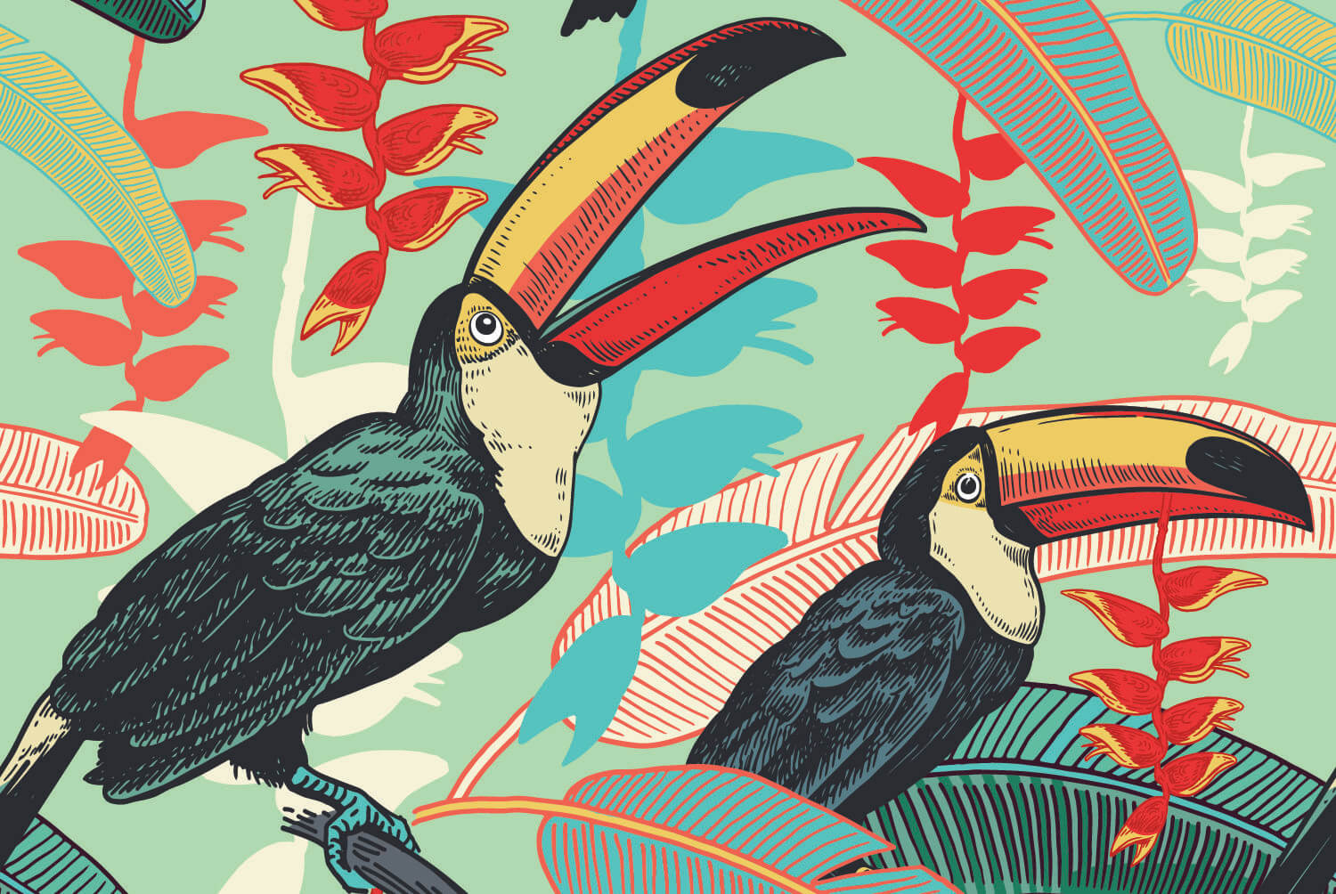 Toucans