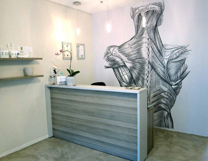 Anatomy