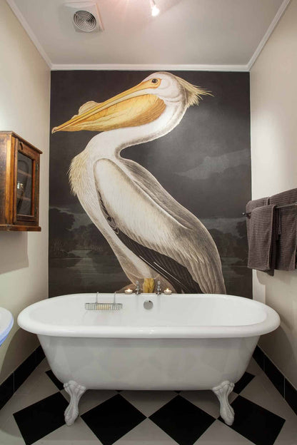 Vintage Pelican