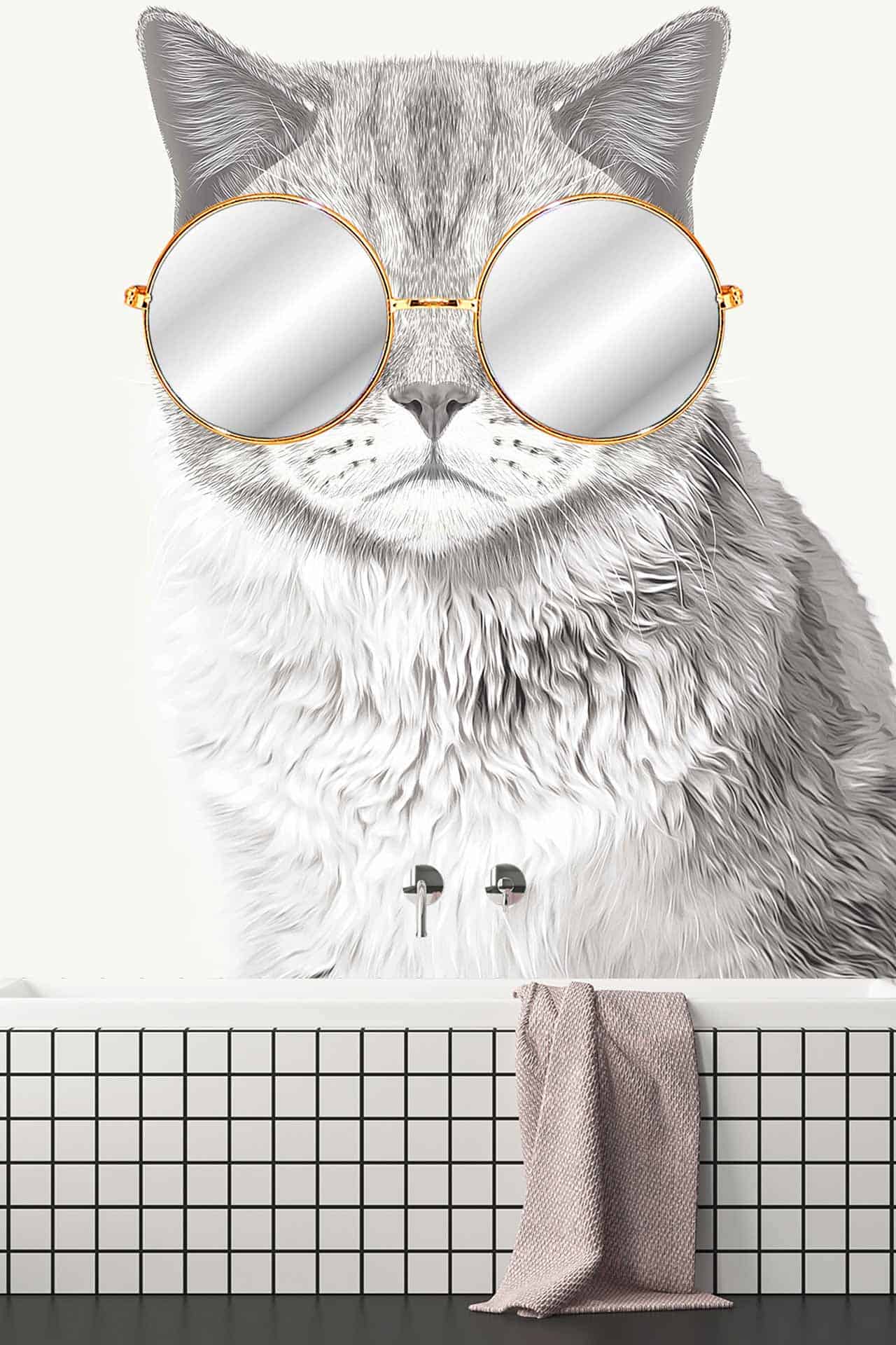 Here Kitty Kitty