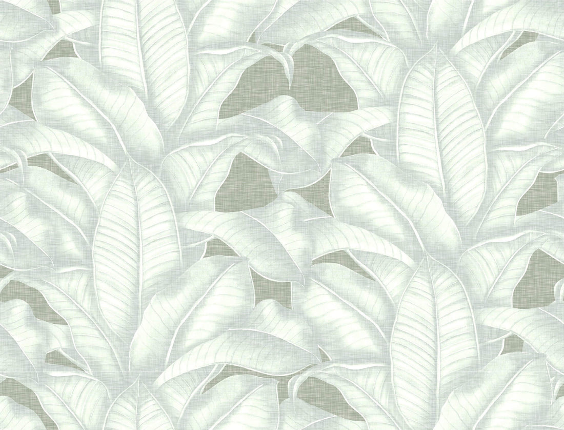 Moonglow