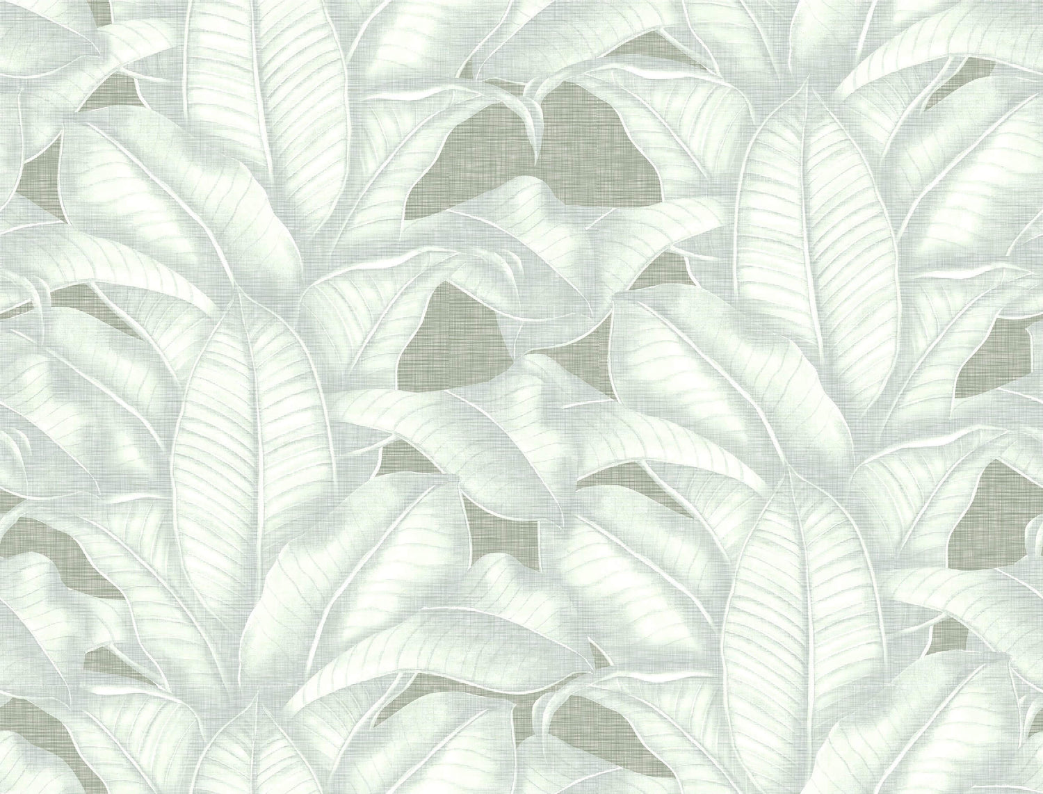 Moonglow