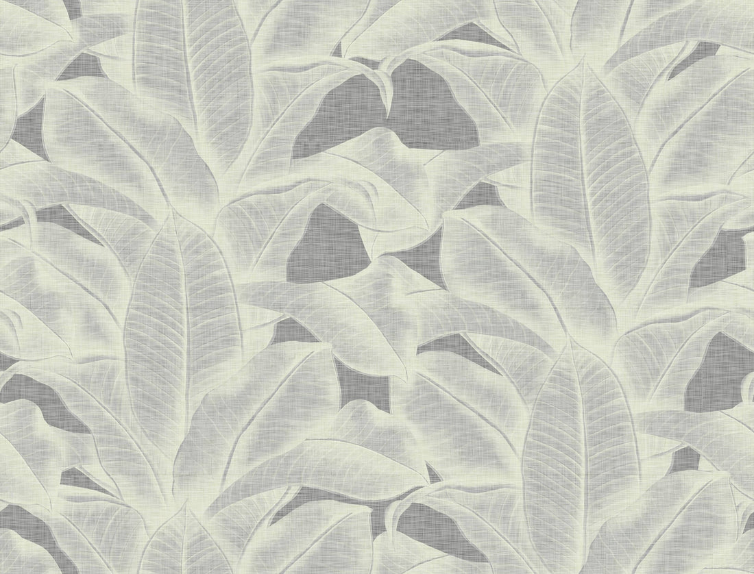 Lumi