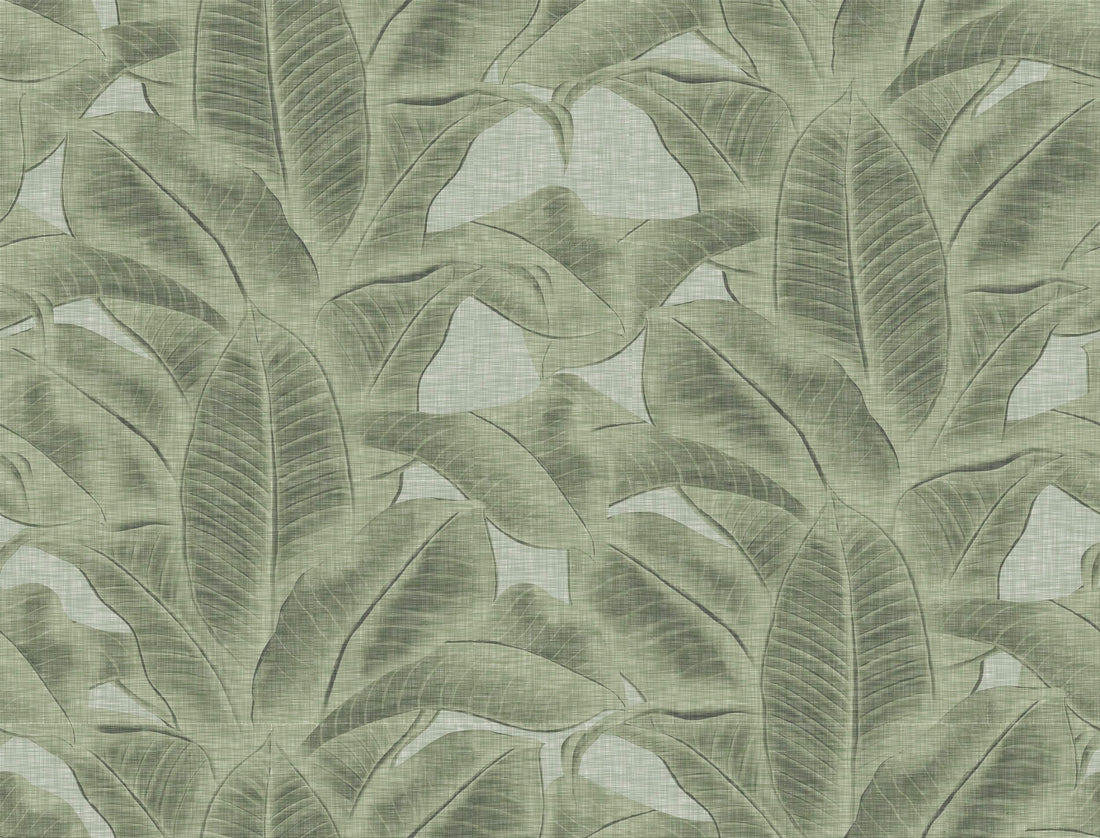 Menthe